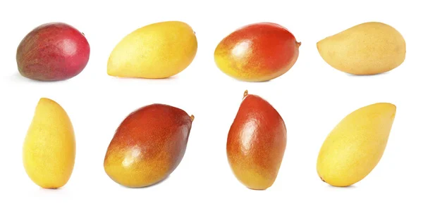 Set Von Köstlichen Mangos Auf Weißem Hintergrund Bannerdesign — Stockfoto