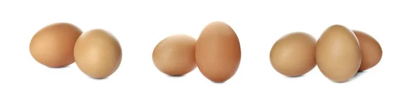 Set Raw Chicken Eggs White Background Banner Design — Stock Photo, Image
