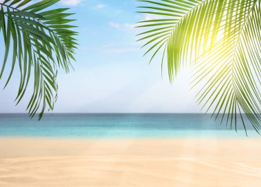 Güneşli bir günde tropik kumlu plaj, mesaj için yer 