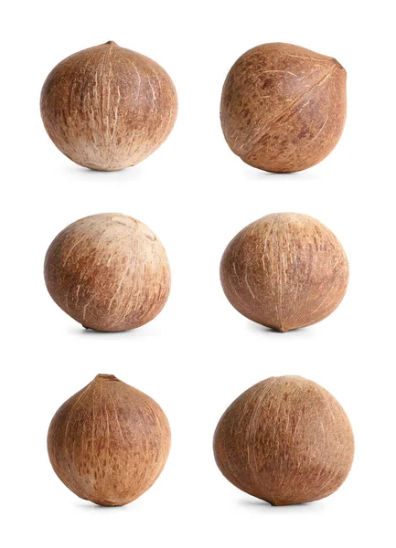 Uppsättning Hela Bruna Kokosnötter Isolerade Vitt — Stockfoto