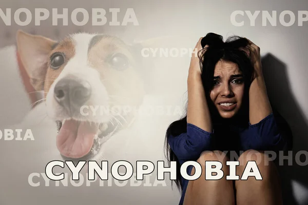 Bang Jonge Vrouw Die Lijdt Aan Cynofobie Witte Achtergrond Irrationele — Stockfoto