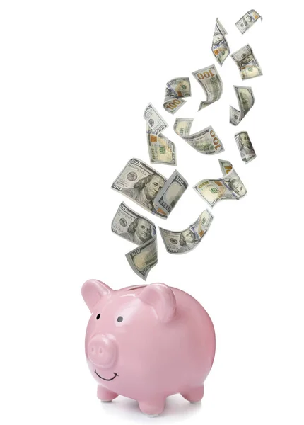 Dollars Falling Pink Piggy Bank White Background — Stock Photo, Image