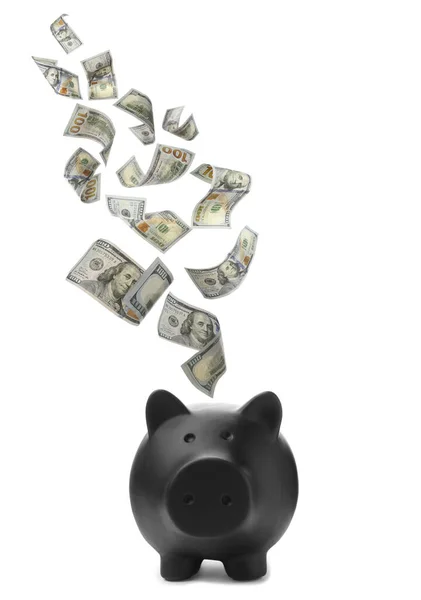 Dólares Caindo Banco Piggy Preto Fundo Branco — Fotografia de Stock