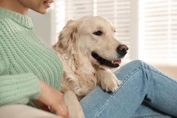 Jonge Vrouw Haar Golden Retriever Thuis Close Schattig Huisdier — Stockfoto