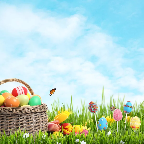 Wicker basket with Easter eggs, cake pops and flowers in green grass against blue background, space for text