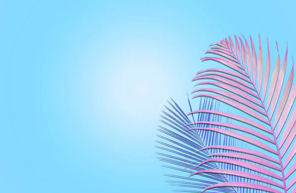 Барвисті Тропічні Листя Світло Блакитному Фоні Плоский Креативний Дизайн — стокове фото