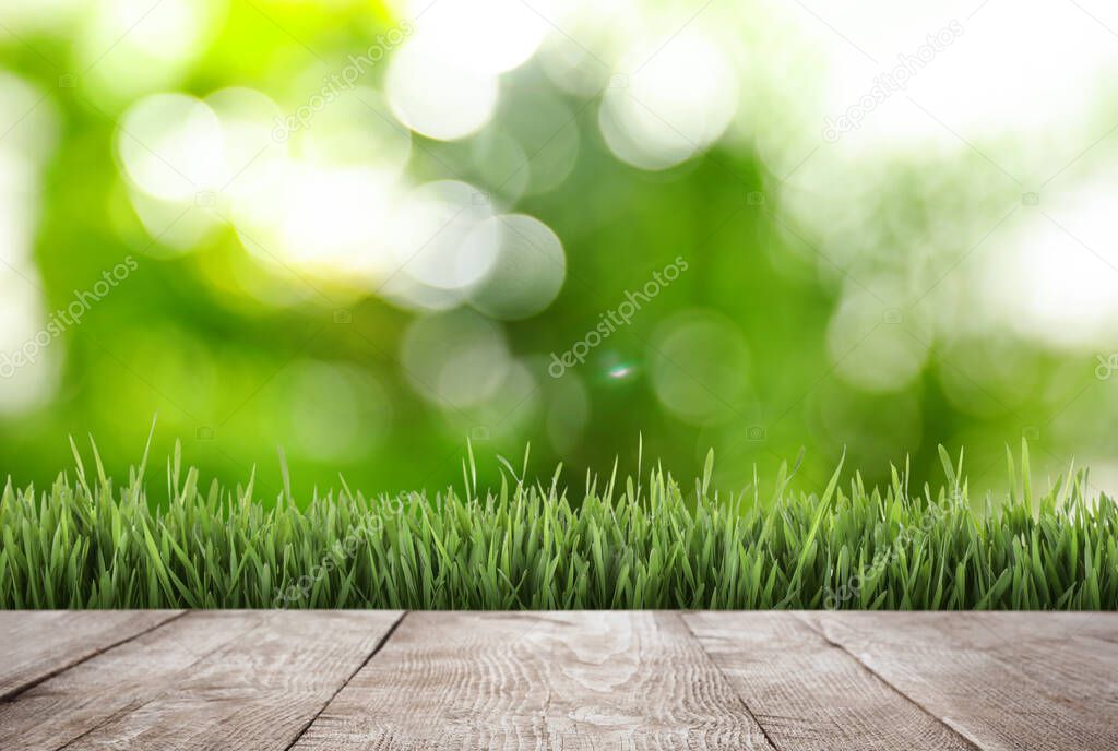 Wooden surface and green grass against blurred background. Spring time