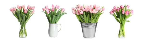 Conjunto Com Belas Flores Tulipa Fundo Branco Design Banner — Fotografia de Stock