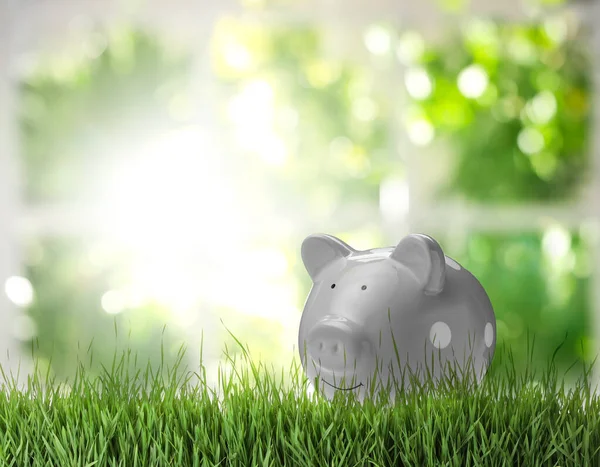 Piggy Bank Cinza Grama Verde Fresca Contra Fundo Desfocado Espaço — Fotografia de Stock