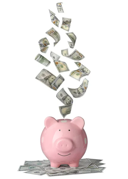 Dólares Caindo Banco Piggy Rosa Fundo Branco — Fotografia de Stock