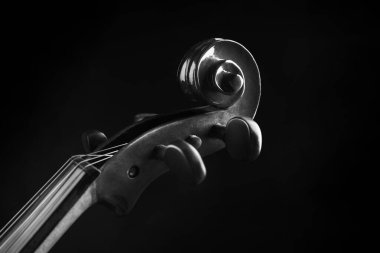 Güzel klasik keman, yakın çekim görüntüsü. Müzik aleti