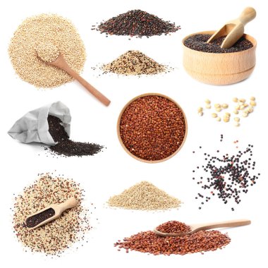 Beyaz arkaplanda farklı kinoa türleri ile ayarla