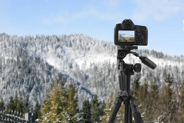 Grabación Hermosa Vista Del Bosque Nevado Cámara Vídeo Profesional — Foto de Stock