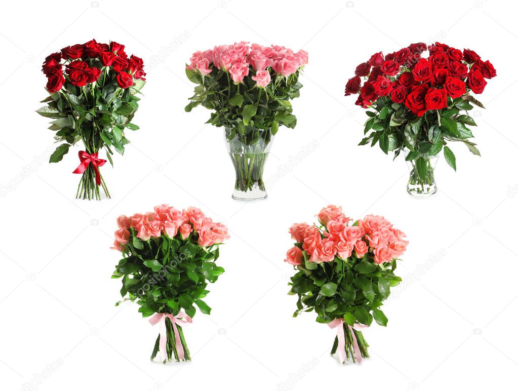 Set with beautiful rose flowers on white background