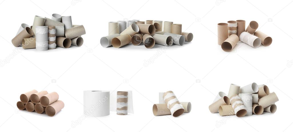 Set with empty paper toilet rolls on white background. Banner design