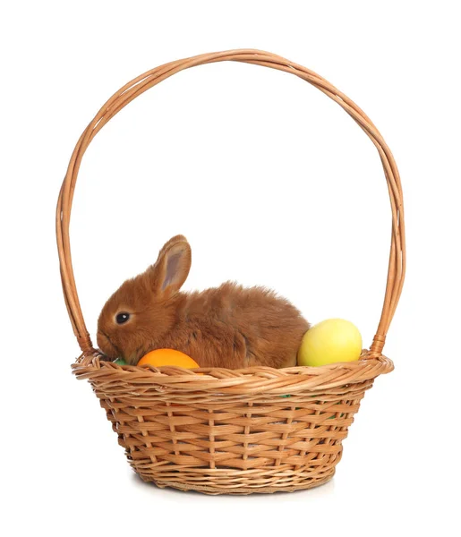 Adorable Fluffy Bunny Wicker Basket Easter Eggs Isolated White — Stock Photo, Image