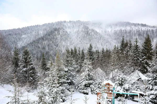 눈내리는 겨울날의 숲으로 뒤덮인 아름다운 — 스톡 사진