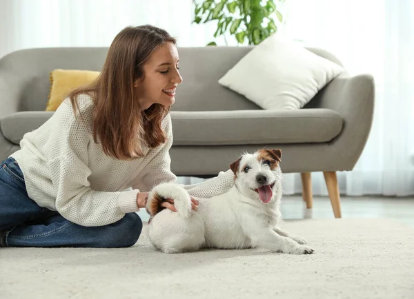 Jonge Vrouw Met Haar Schattige Jack Russell Terrier Thuis Heerlijk — Stockfoto