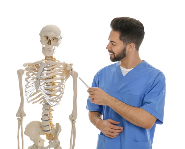 Orthopäde Mit Menschlichem Skelettmodell Auf Weißem Hintergrund — Stockfoto