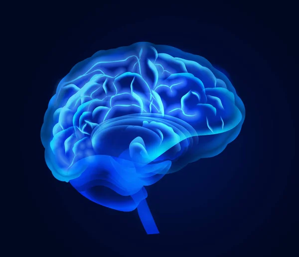 Ілюстрація Людського Мозку Синьому Фоні — стокове фото
