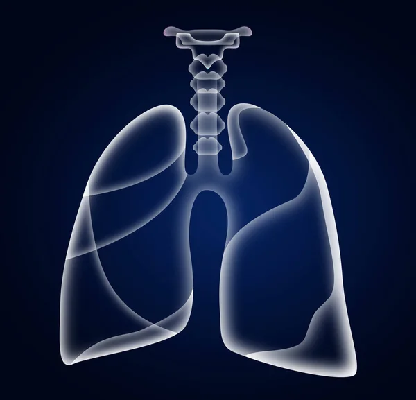 Illustration Human Lungs Dark Blue Background — Stock Photo, Image