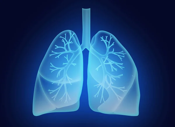 深蓝色背景下人类肺的图解 — 图库照片