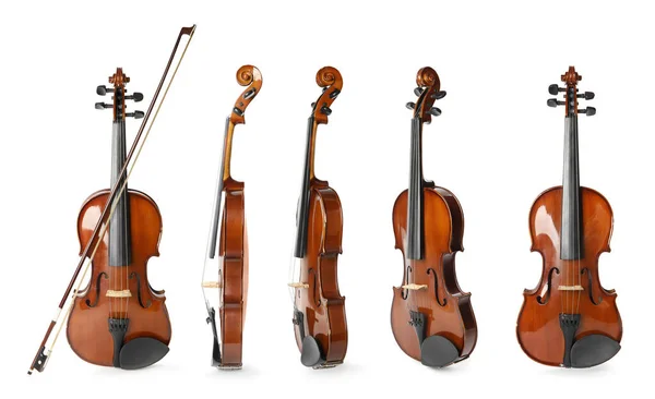 Ensemble Violons Classiques Sur Fond Blanc — Photo