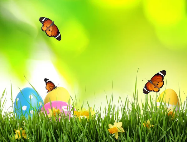 Színes Húsvéti Tojás Virágokkal Zöld Fűben Pillangók Elmosódott Háttéren — Stock Fotó