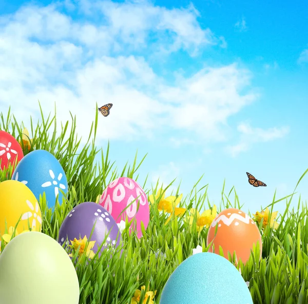 Yeşil Çimlerde Renkli Paskalya Yumurtaları Mavi Gökyüzünde Kelebekler — Stok fotoğraf