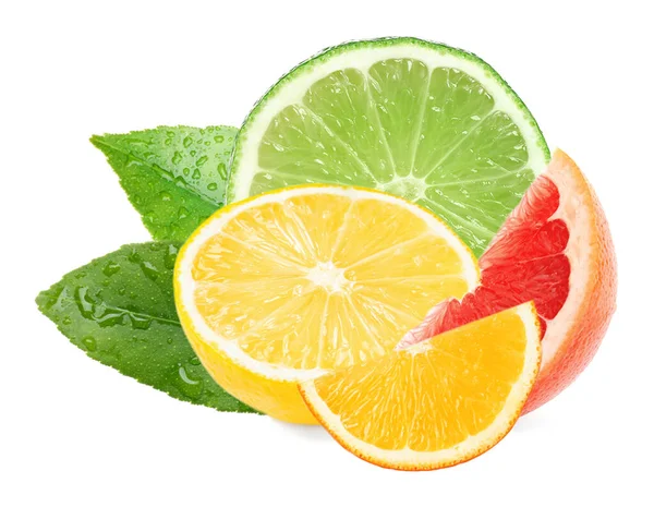 Různé Citrusové Plody Listy Bílém Pozadí — Stock fotografie