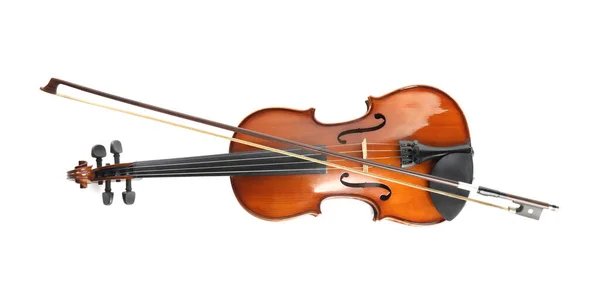 Violin top 2024