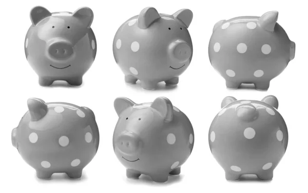 Set Grey Piggy Bank White Background — Stock Photo, Image