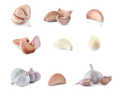 Beyaz arka planda taze sarımsak seti