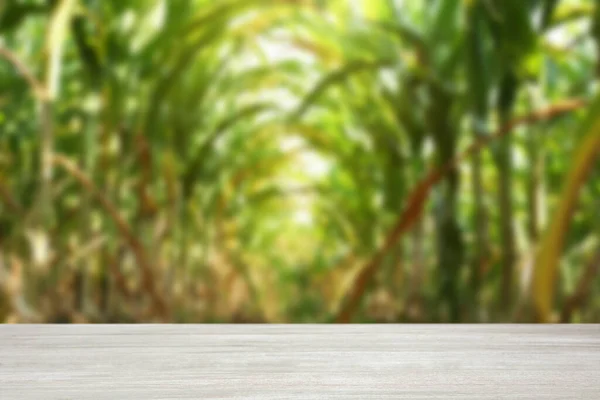 Порожня Дерев Яна Поверхня Розмитий Вид Зелене Кукурудзяне Листя Полі — стокове фото