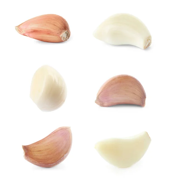 Set Garlic Cloves White Background — Stock Photo, Image
