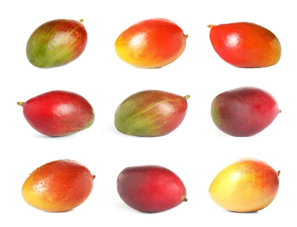 Uppsättning Läckra Mango Vit Bakgrund — Stockfoto