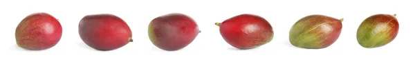 Zestaw Pysznych Mango Białym Tle Projekt Banera — Zdjęcie stockowe