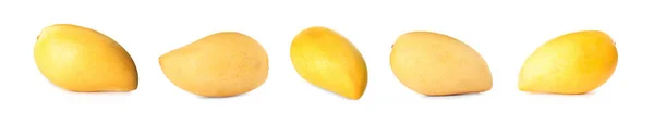 Uppsättning Läckra Mango Vit Bakgrund Banderolldesign — Stockfoto