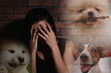 Tuğla duvarın yanında sinofobiden muzdarip korkmuş genç bir kadın. Köpeklere karşı mantıksız korku