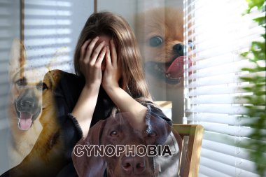 Cynofobi konsepti. Korkmuş genç kadın ve köpeklere çifte maruz kalma