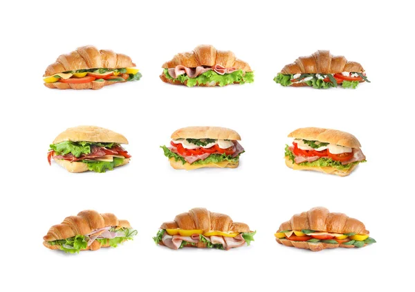 Set Van Lekkere Croissant Sandwiches Witte Achtergrond — Stockfoto
