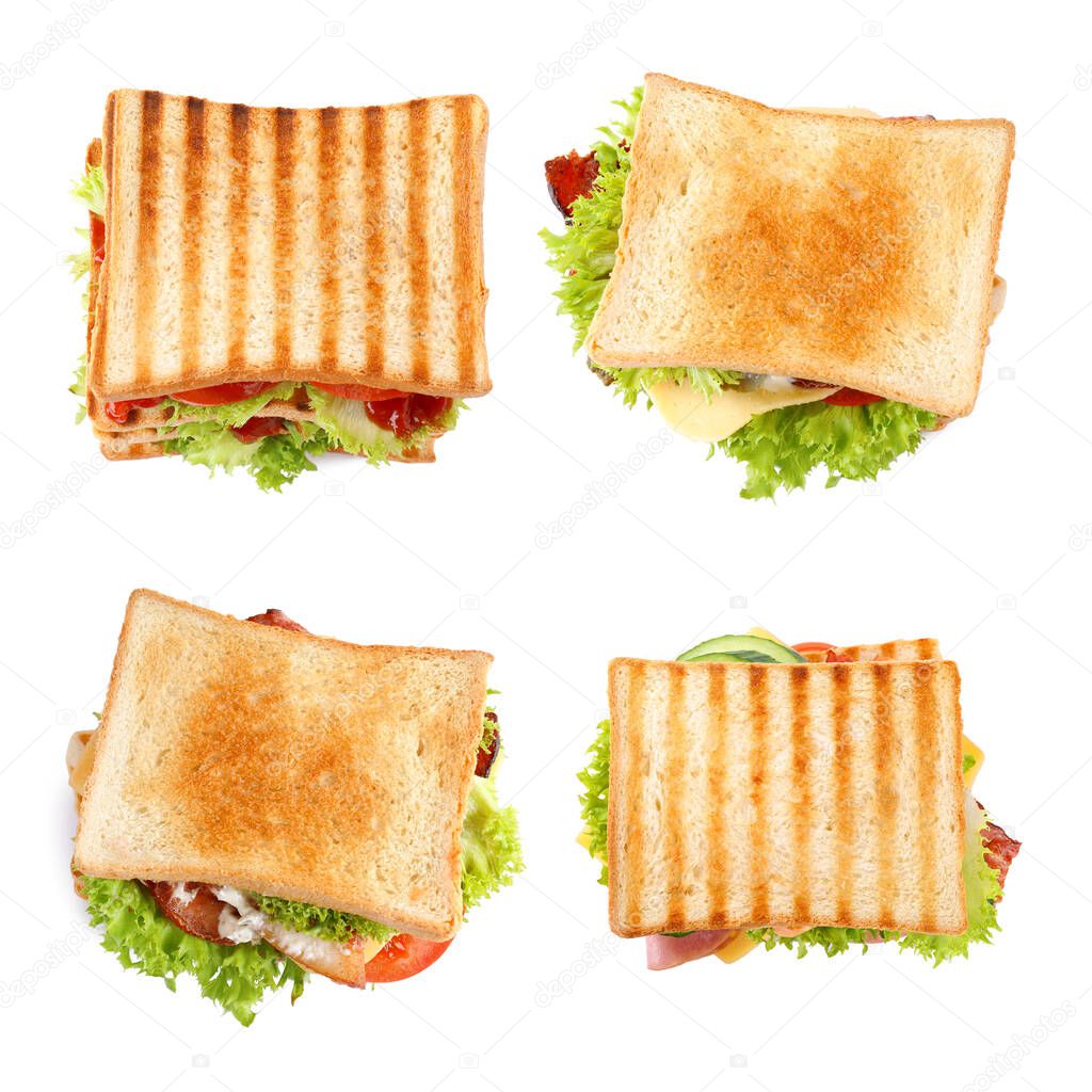 Set of different yummy sandwiches on white background, top view