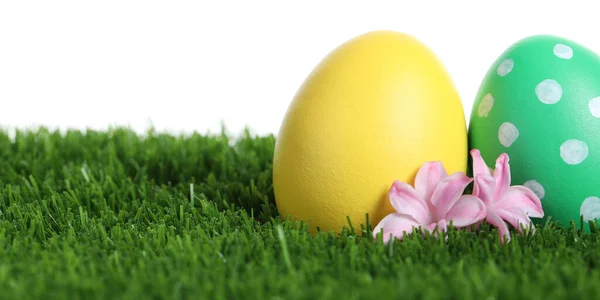 Coloridos Huevos Pascua Flores Sobre Hierba Verde Sobre Fondo Blanco — Foto de Stock