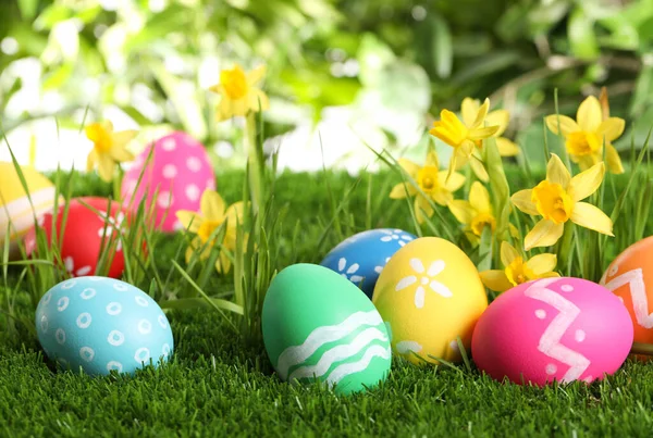 五彩缤纷的复活节彩蛋和绿草中的水仙花 — 图库照片