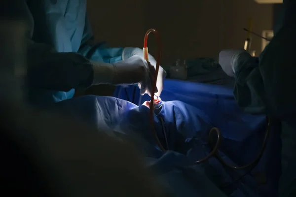 Professional doctors performing operation in surgery room, closeup