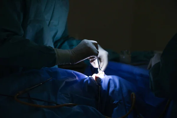 Médicos Profesionales Realizando Operación Sala Cirugía Primer Plano —  Fotos de Stock