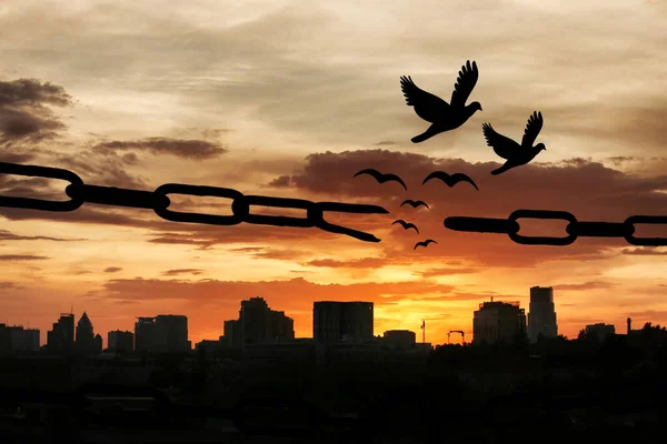 Vrijheidsconcept Silhouetten Van Gebroken Ketting Vogels Die Bij Zonsondergang Buiten — Stockfoto