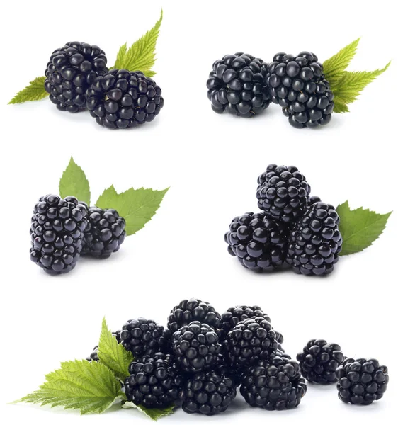 Set Ripe Blackberries White Background — Stock Photo, Image