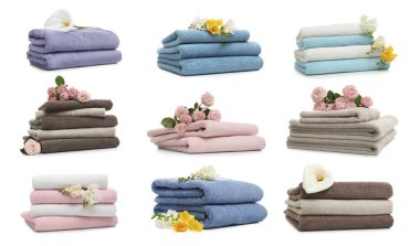 Beyaz arkaplanda katlanmış yumuşak havlu ve çiçek seti