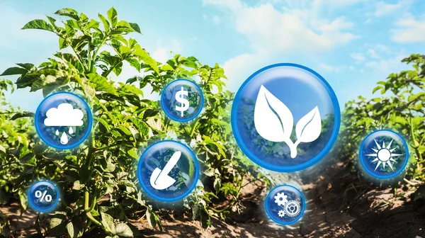 Modernes Landwirtschaftliches Konzept Symbole Und Feld Hintergrund — Stockfoto